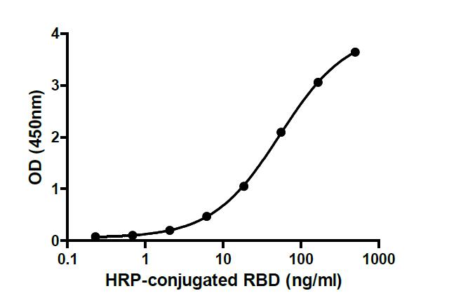Binding ability measured in a functional ELISA. 2019-nCoV RBD (N501Y) binds to immobilized human ACE2 (19-740) protein.